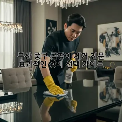 부산 중구 곰팡이 제거 전문: 효과적인 장비 선택 가이드
