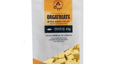🎃 놓치면 후회! 트릭오얼트릿 역대급 할인 & 솔직 후기