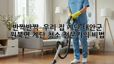 반짝반짝 ✨ 우리 집 계단, 태안군 원북면 계단 청소 전문가의 비법!